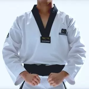 Bild: Poomsae Wien © Kukkiwon