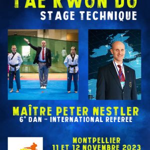 Bild: Taekwondo Stage Technique 2023, Montpellier